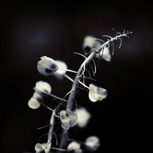 20101005.jpg
