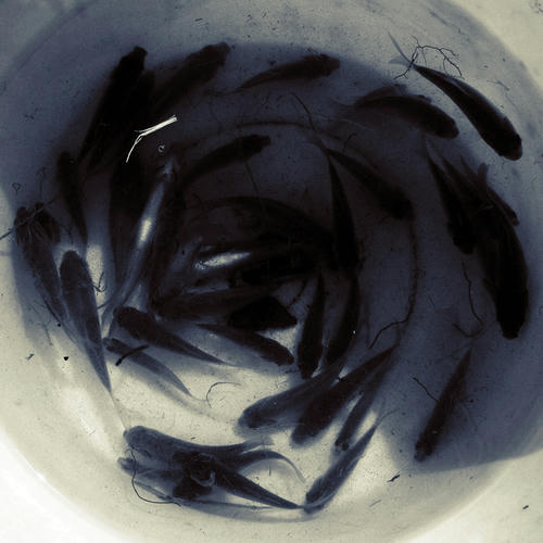 20101012.jpg