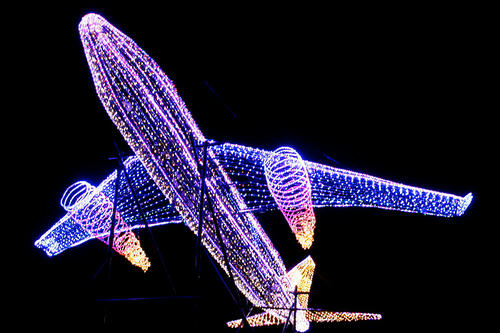 20101025_4.jpg