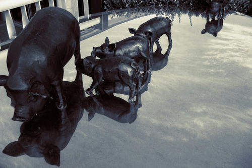 20101027.jpg