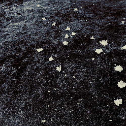 20101028.jpg