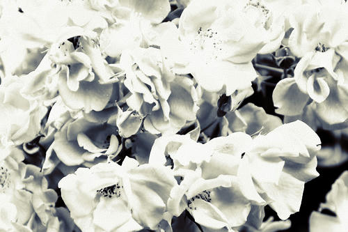 20101112.jpg