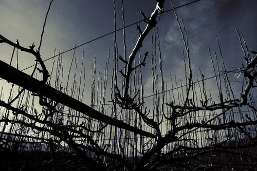 20101224.jpg