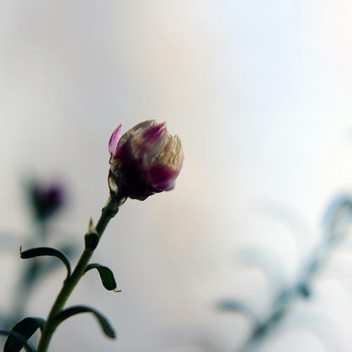 20110120.jpg