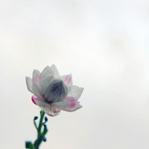 20110126.jpg