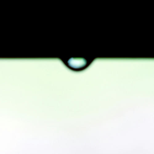 20110304.jpg