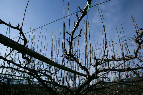 20110318.jpg