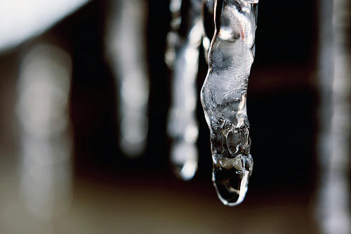 20110324.jpg