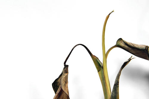 20110405.jpg