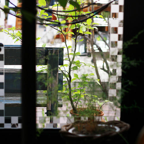 20110509.jpg