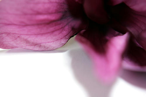 20110512.jpg