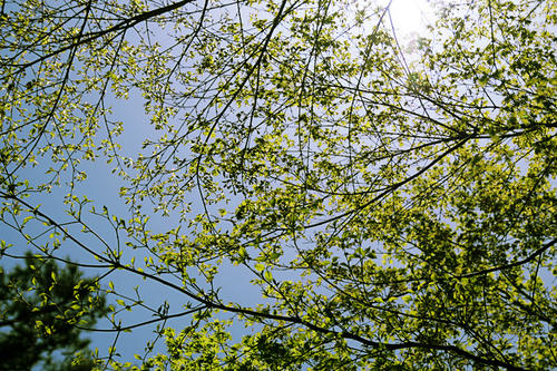 20110517_1.jpg