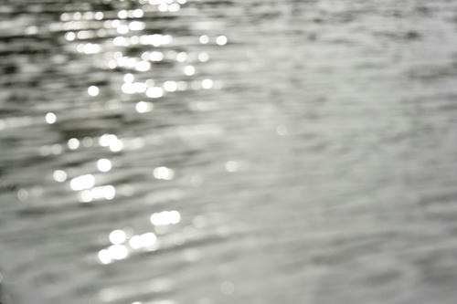 20110520.jpg
