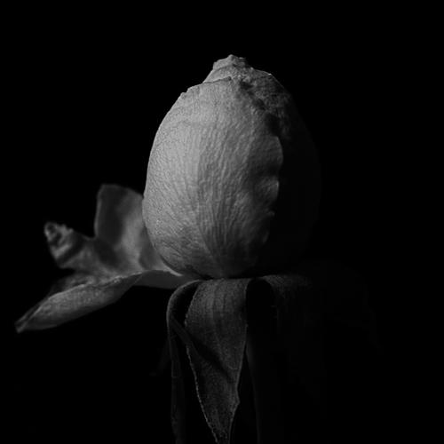20110528.jpg