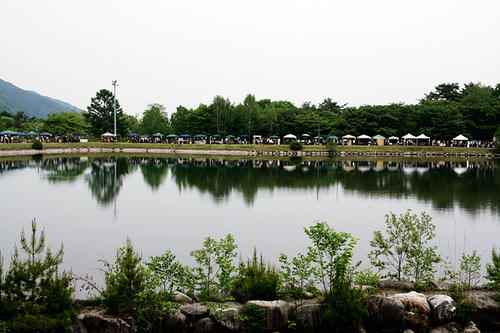 20110608_1.jpg