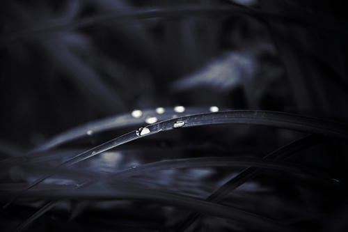 20110719.jpg