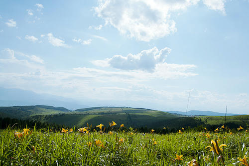20110728_3.jpg