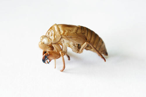 20110731.jpg