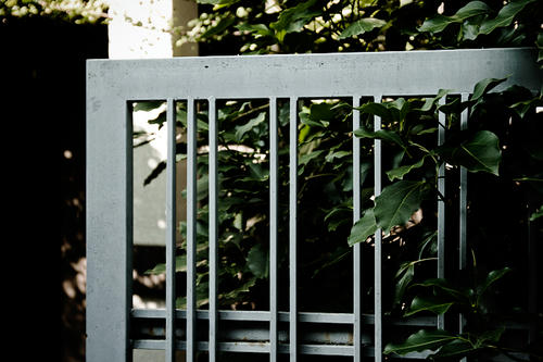 20110820.jpg