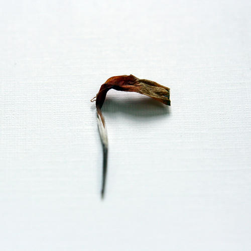 20111028.jpg