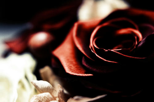 20111120.jpg