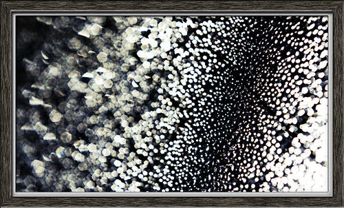 20111220.jpg