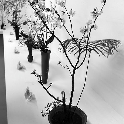 20120323_2.jpg