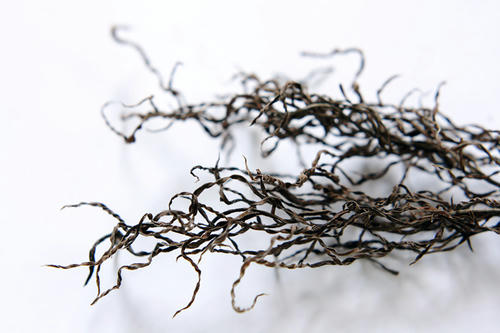 20120418.jpg