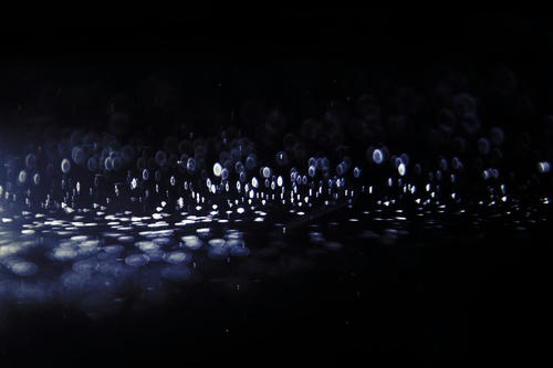 20120518.jpg