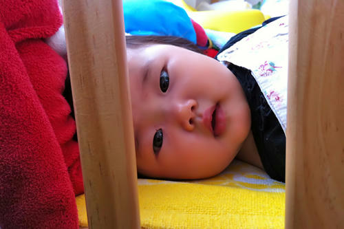 20120710_1.jpg