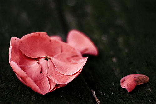 20120725.jpg