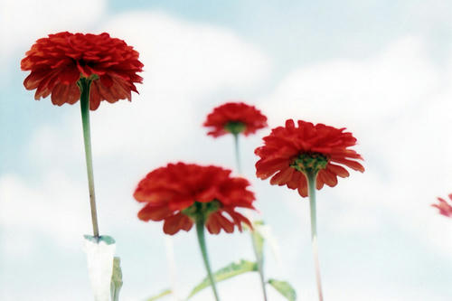 20120903.jpg