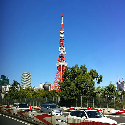 20121122.jpg