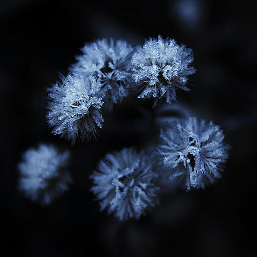 20121130.jpg