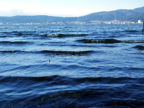 20130128.jpg