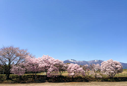 20130419.jpg