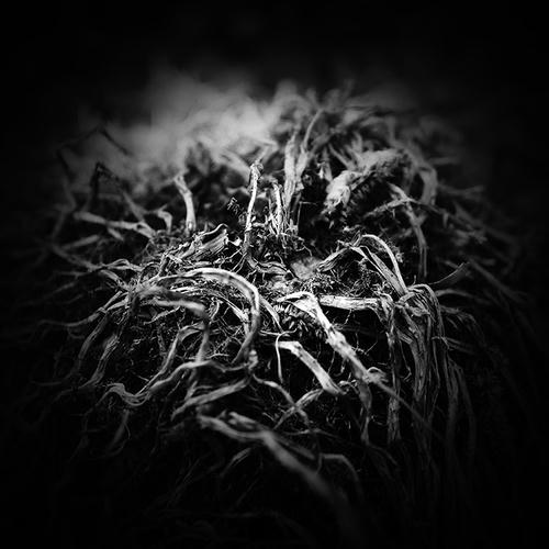 20130801.jpg