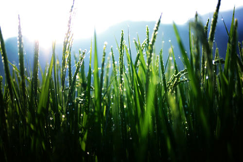 20130812.jpg