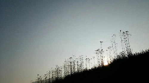 20130909.jpg