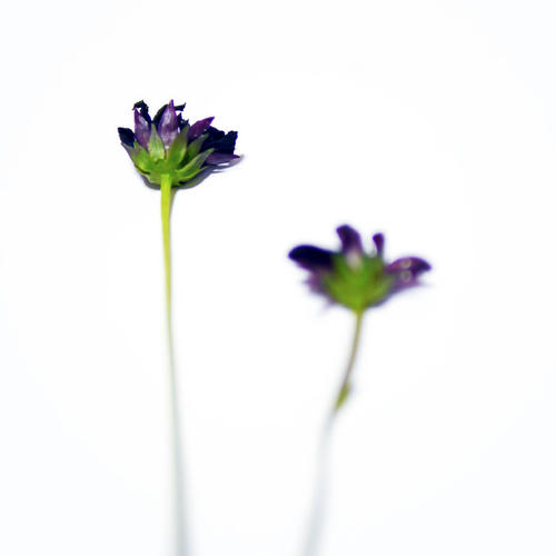 20131205.jpg