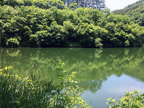20160625-2.jpg