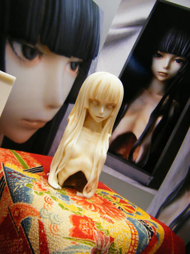 wf201002hako.jpg