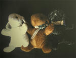 32d77420.JPG
