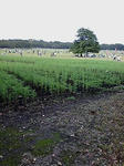 20091004142128.jpg