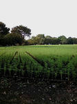 20091004142201.jpg