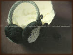 48c9e783.JPG