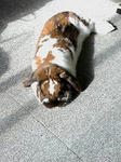 20100401081353.jpg