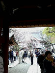 20100404122555.jpg
