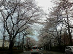 20100404165103.jpg