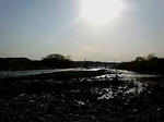 20100501163317.jpg